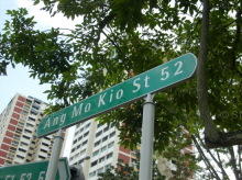Ang Mo Kio Street 52 #76852